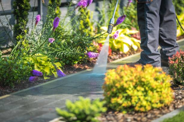Reliable Glenmoor, OH Pressure Washing Services Solutions